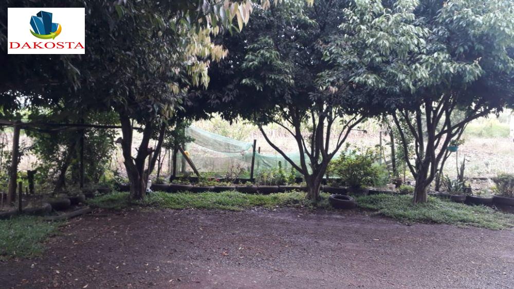 Dakosta Imveis em Enas Marques PR e regio