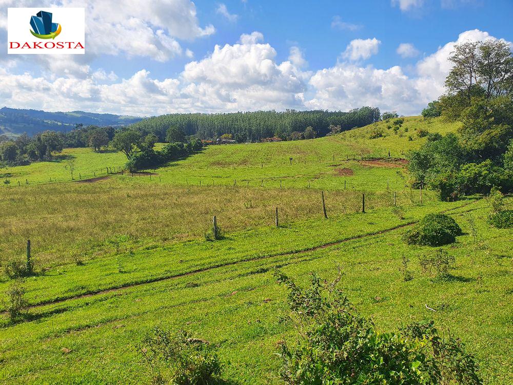41 alqueires est com 2 de lavouras, 10 em pasto