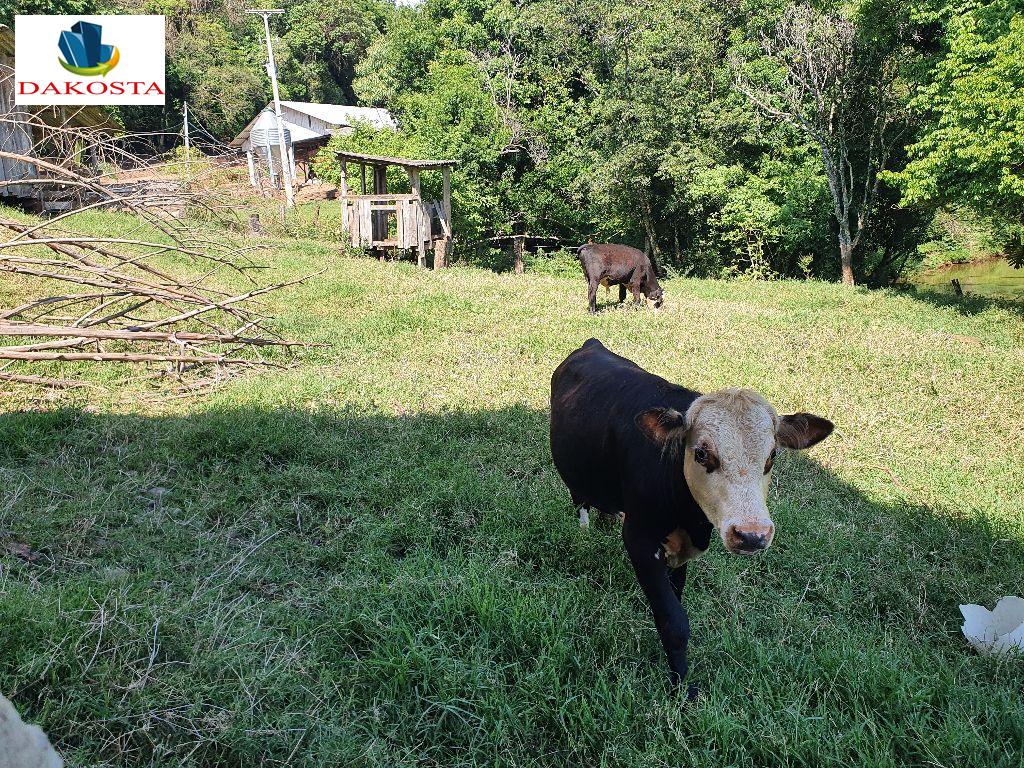 Dakosta Imveis em Enas Marques PR e regio