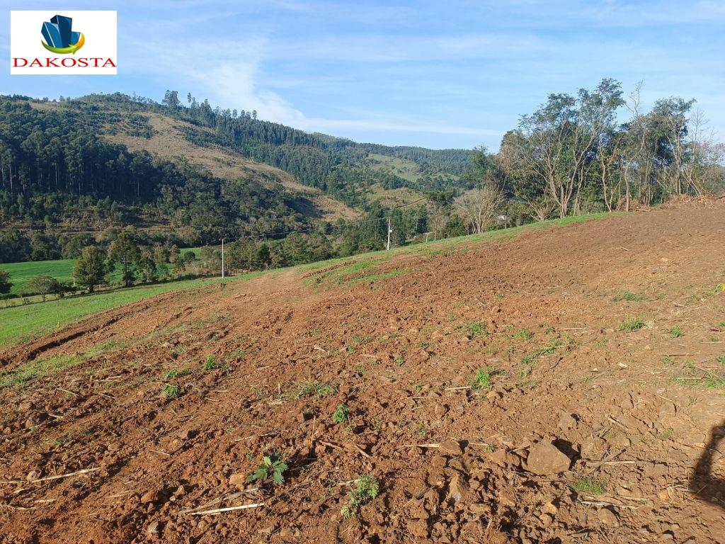 4. 12 Alqueires com 2,5 de lavouras Casa Mista