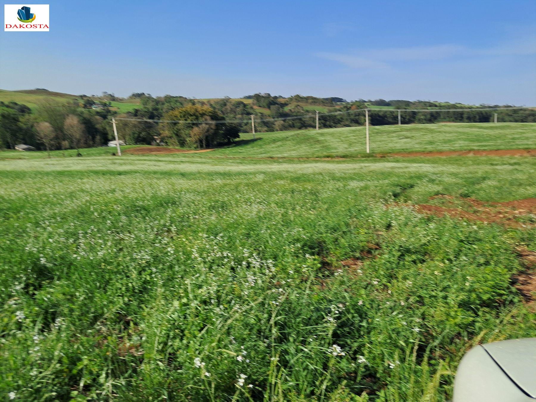 30 Mil Metros Quadrados linda chcara 90% plana lavouras Nascente d`Agua 10km de
