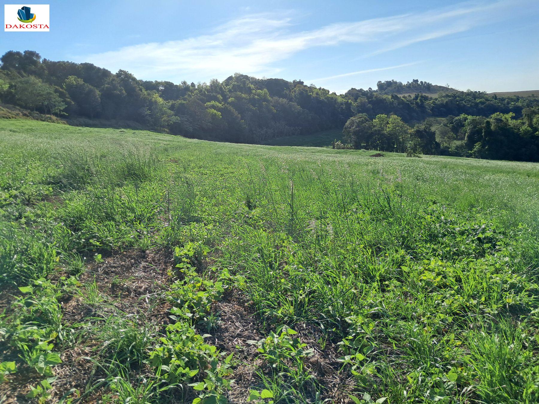 4,1 Alqueires praticamente todo lavoura perto da PR 180 Beltro a 2 Vizinhos 