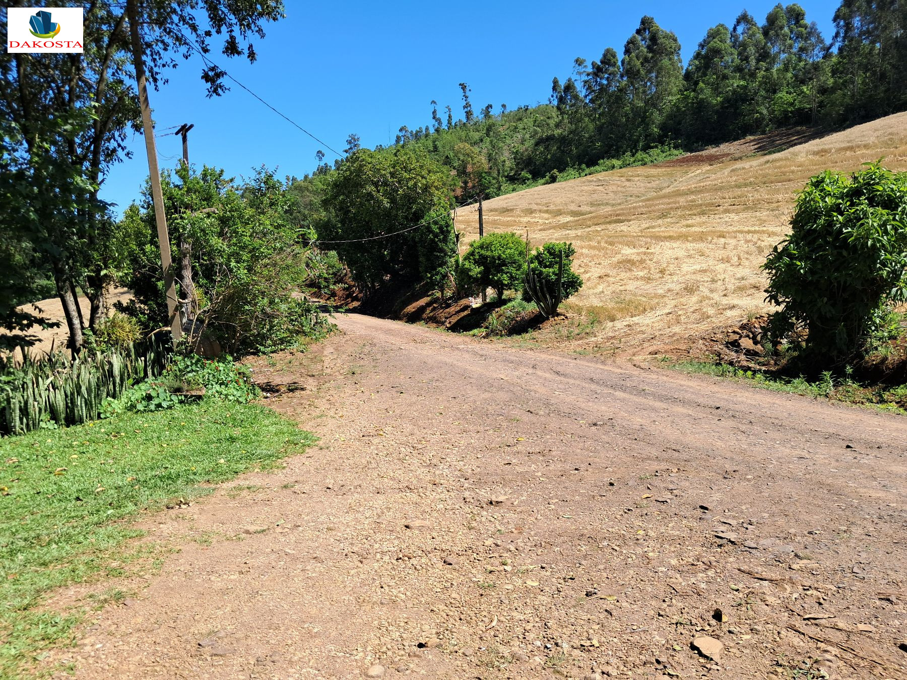 3.5 Alqueires, a 2 km da BR tem 2 alq de lavouras Rico em Agua 