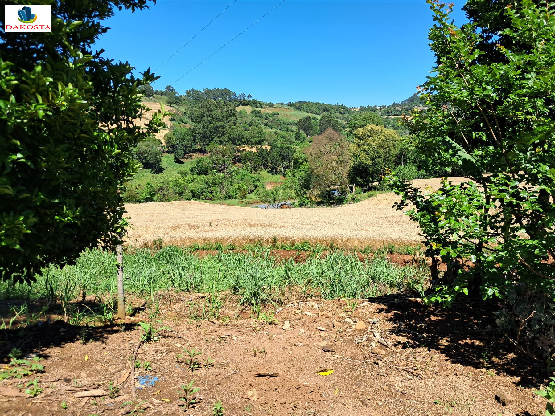3.5 Alqueires, a 2 km da BR tem 2 alq de lavouras Rico em Agua 
