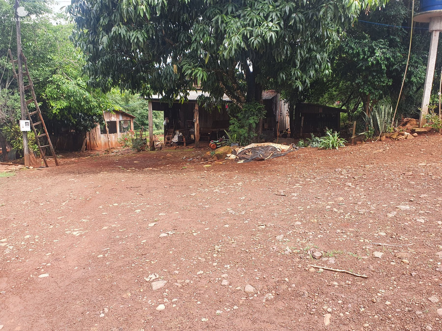 2.6 Alqueires com duas casa + estrutura simples para leite com...