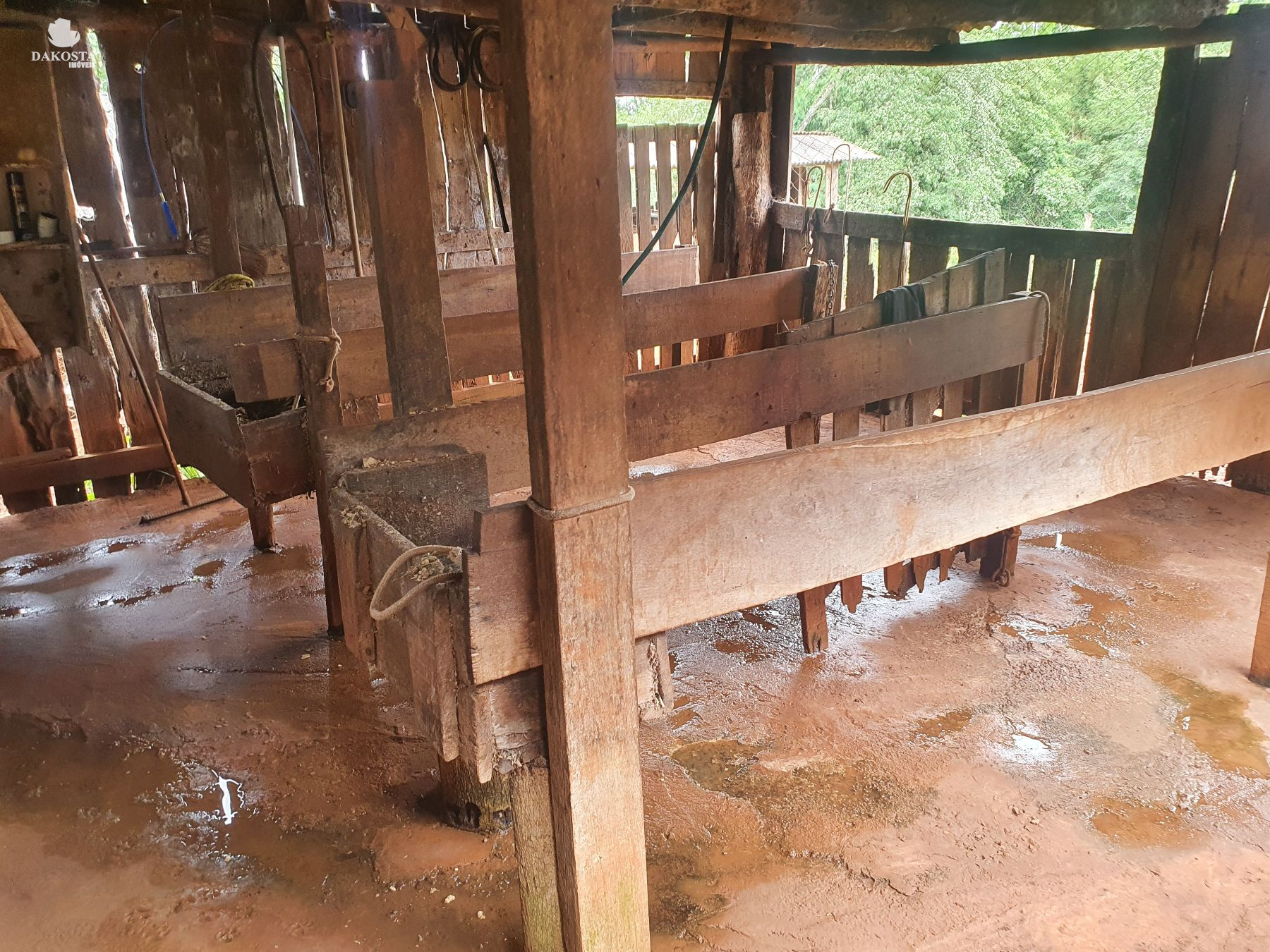 2.6 Alqueires com duas casa + estrutura simples para leite com 10 Vacas