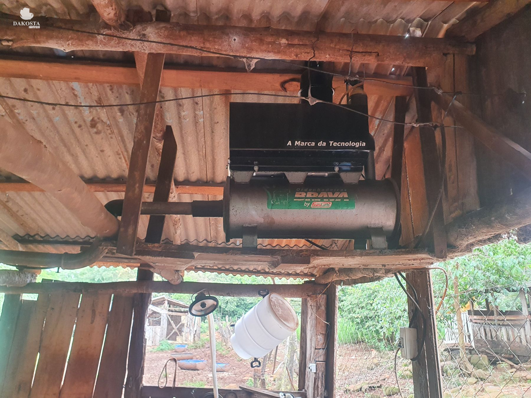 2.6 Alqueires com duas casa + estrutura simples para leite com 10 Vacas