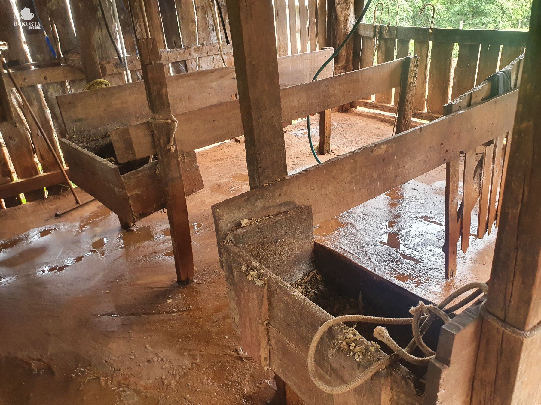 2.6 Alqueires com duas casa + estrutura simples para leite com 10 Vacas