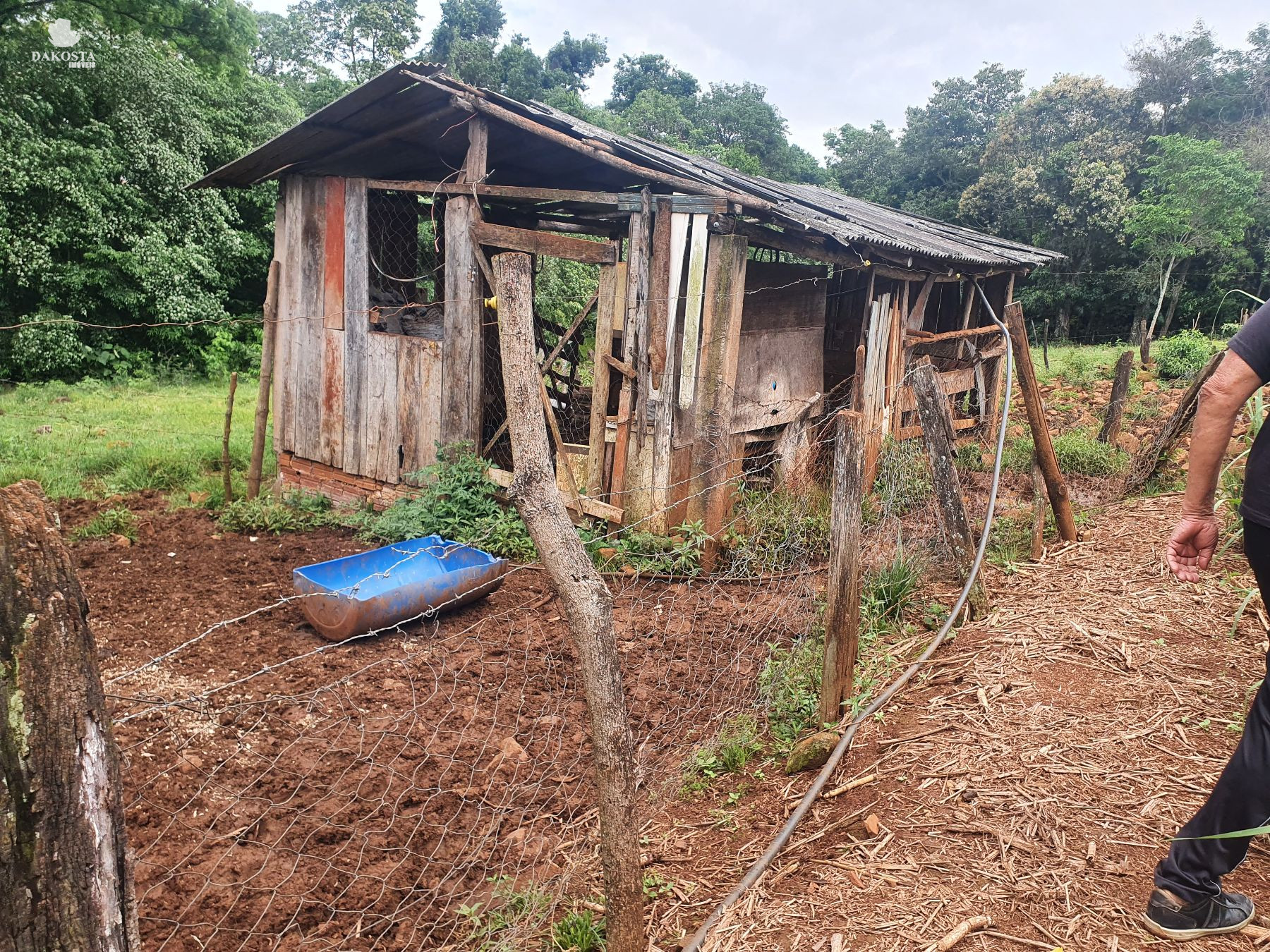 2.6 Alqueires com duas casa + estrutura simples para leite com 10 Vacas