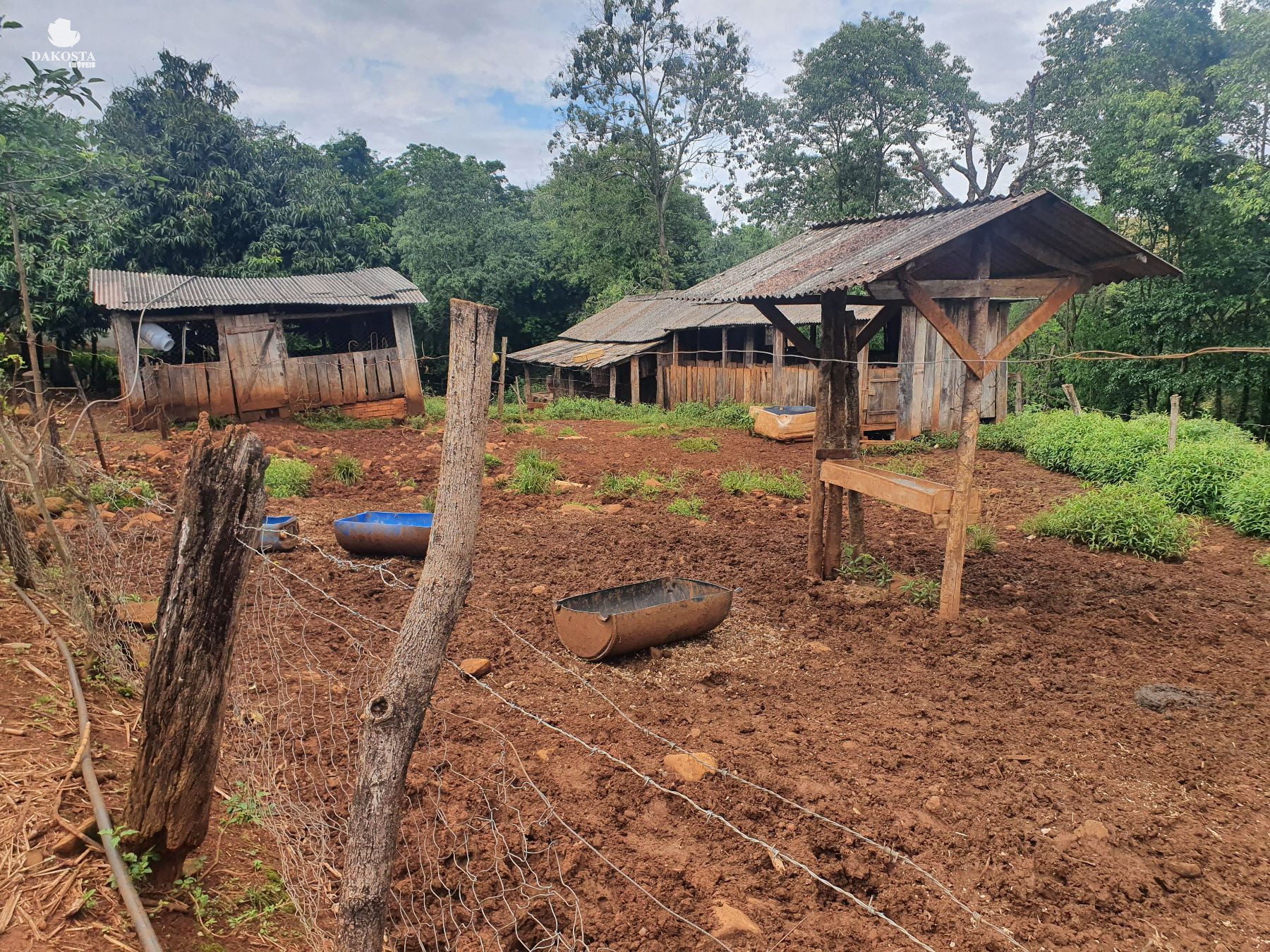 2.6 Alqueires com duas casa + estrutura simples para leite com 10 Vacas