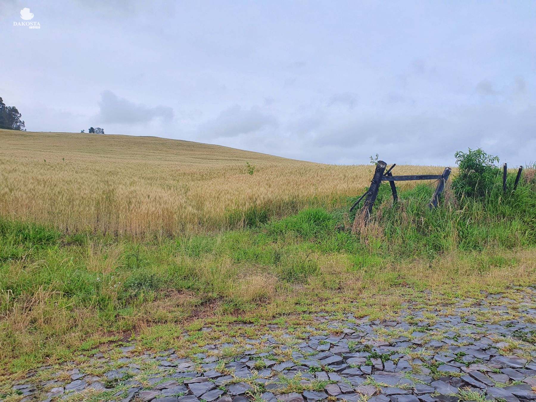 27 alqueires com 19 de lavouras 4 de pastagem toda cercada