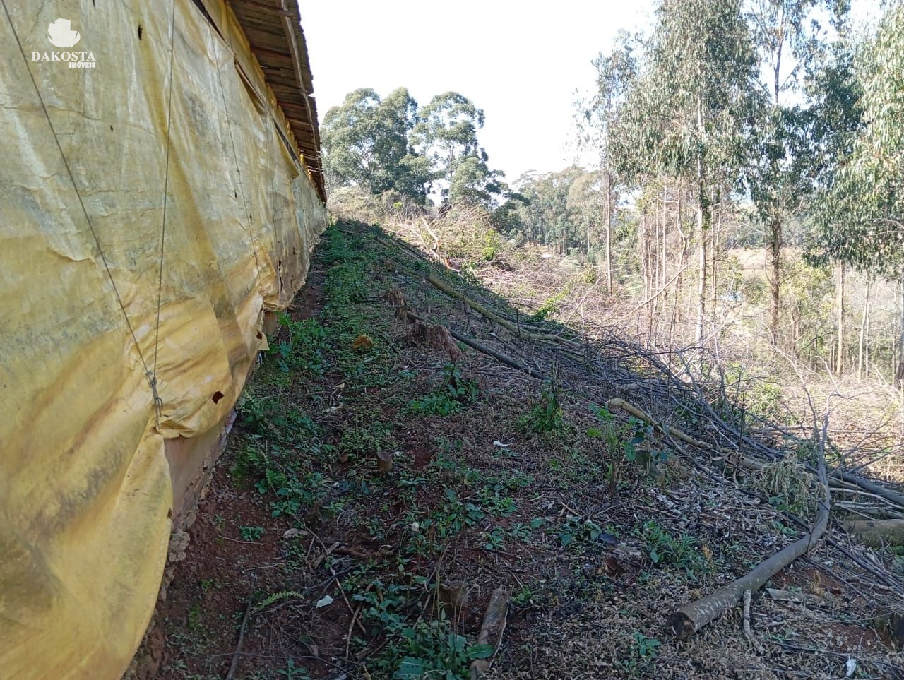30 Linda Chácara plana poço artesiano e dois barracão de aviarios