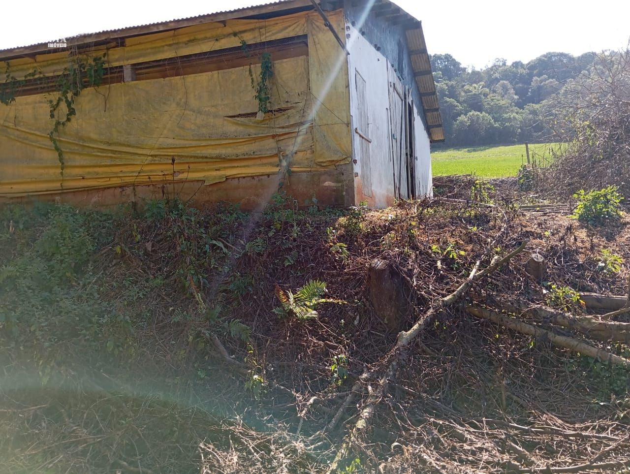 30 Linda Chácara plana poço artesiano e dois barracão de aviarios