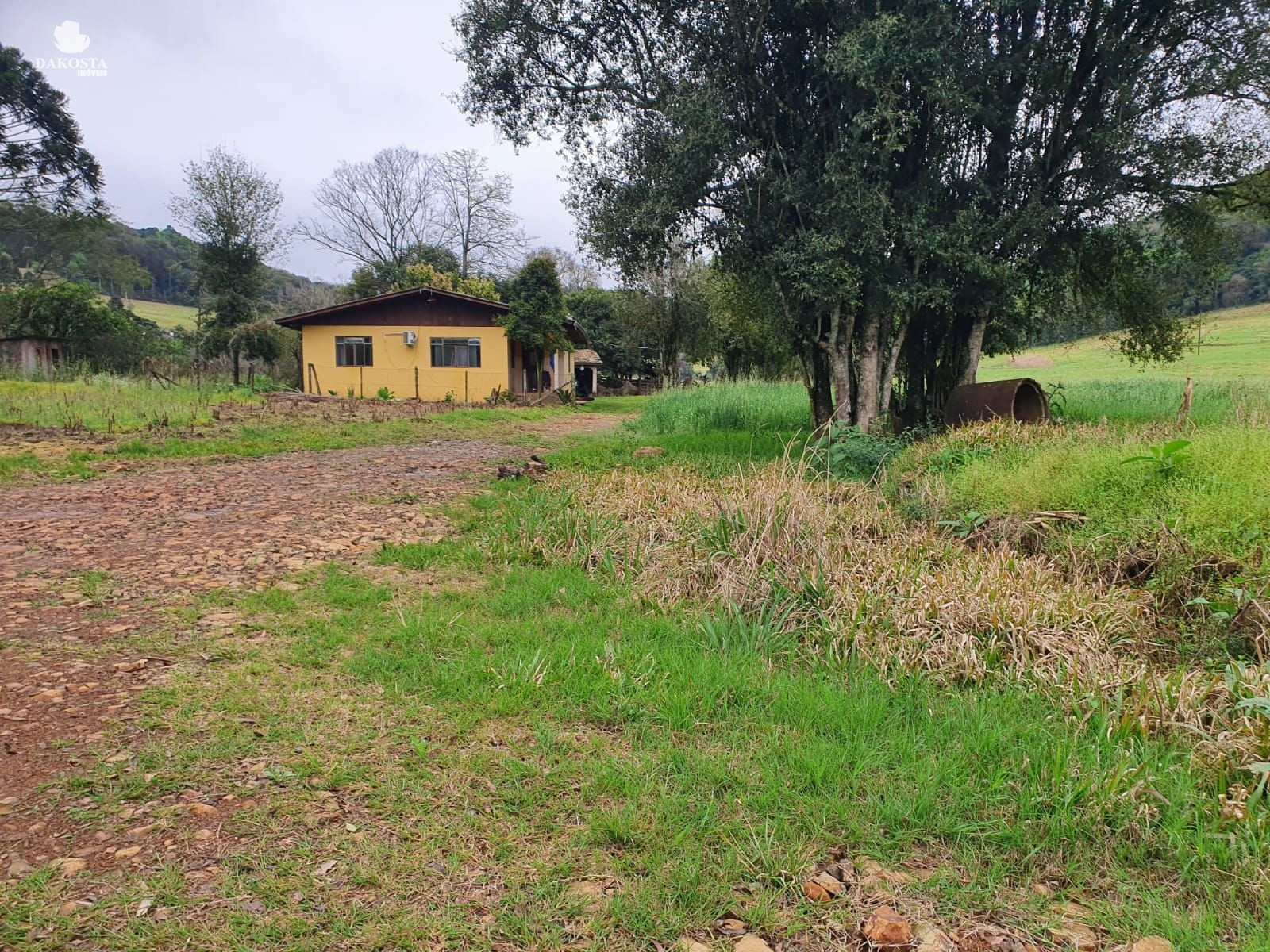 11.5 Alqueires com 7 de lavoura, casa perto da cidade e do asf...