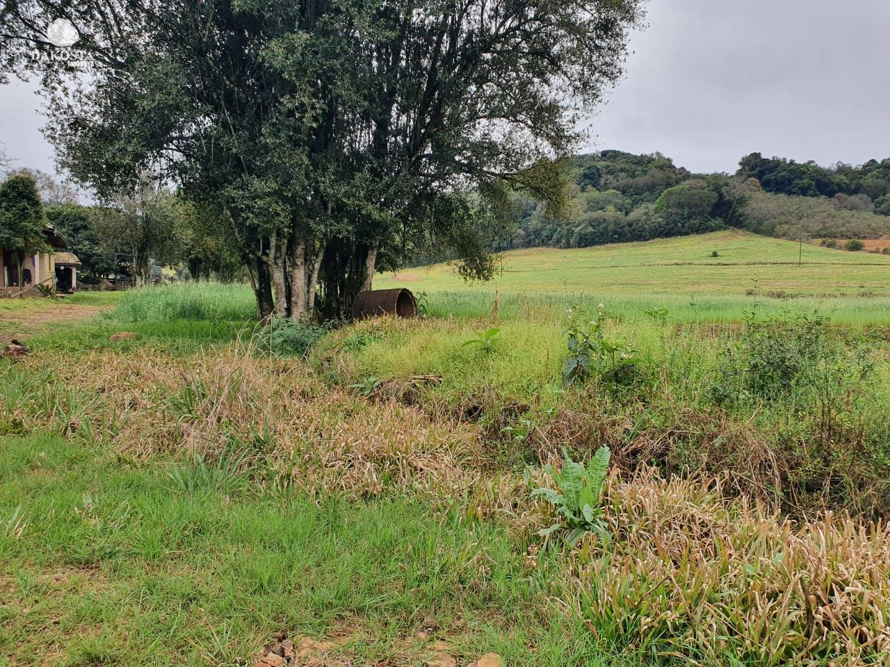 11.5 Alqueires com 7 de lavoura, casa perto da cidade e do asf...