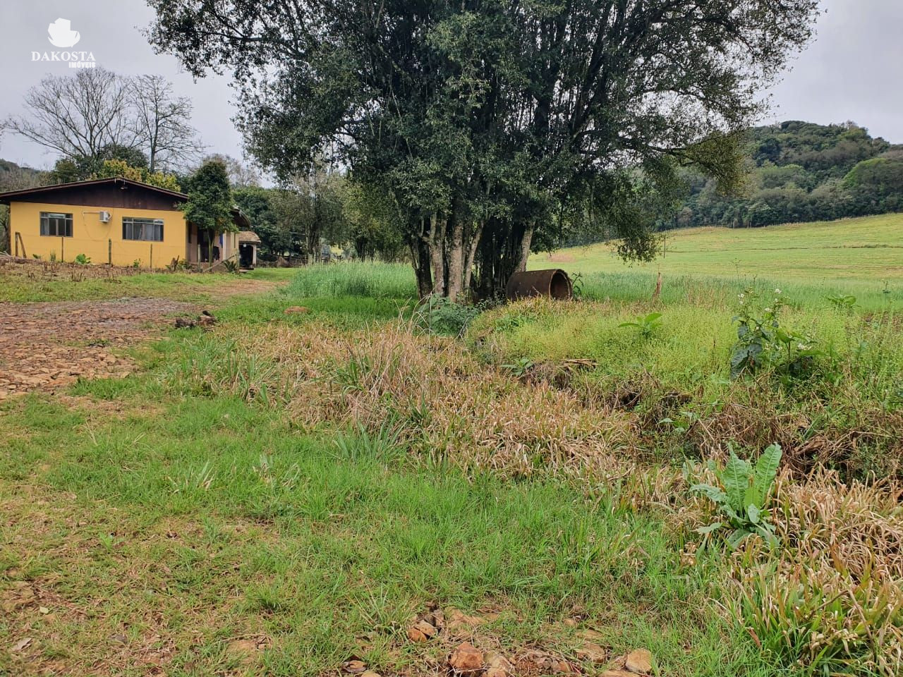 11.5 Alqueires com 7 de lavoura, casa perto da cidade e do asf...