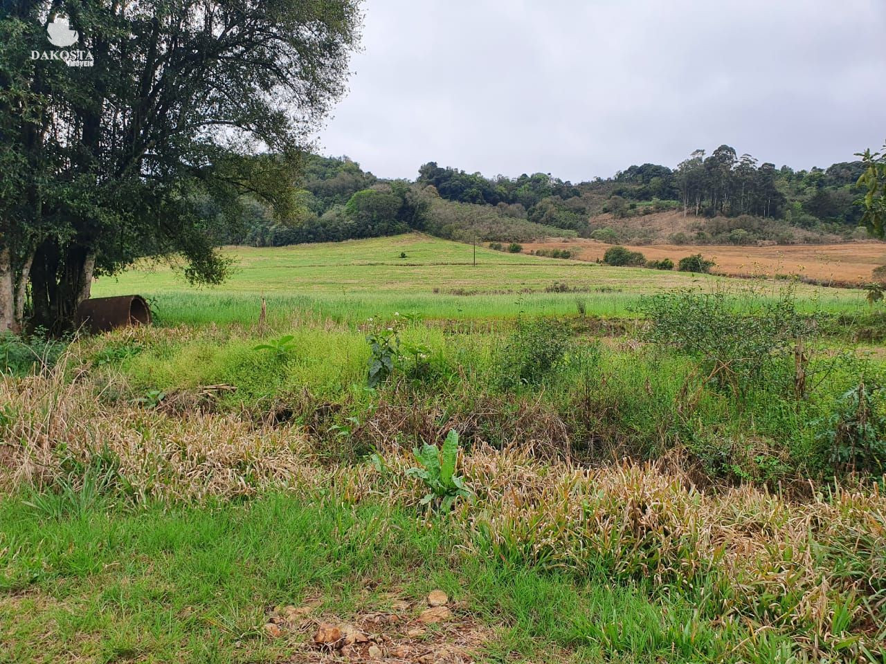 11.5 Alqueires com 7 de lavoura, casa perto da cidade e do asfalto