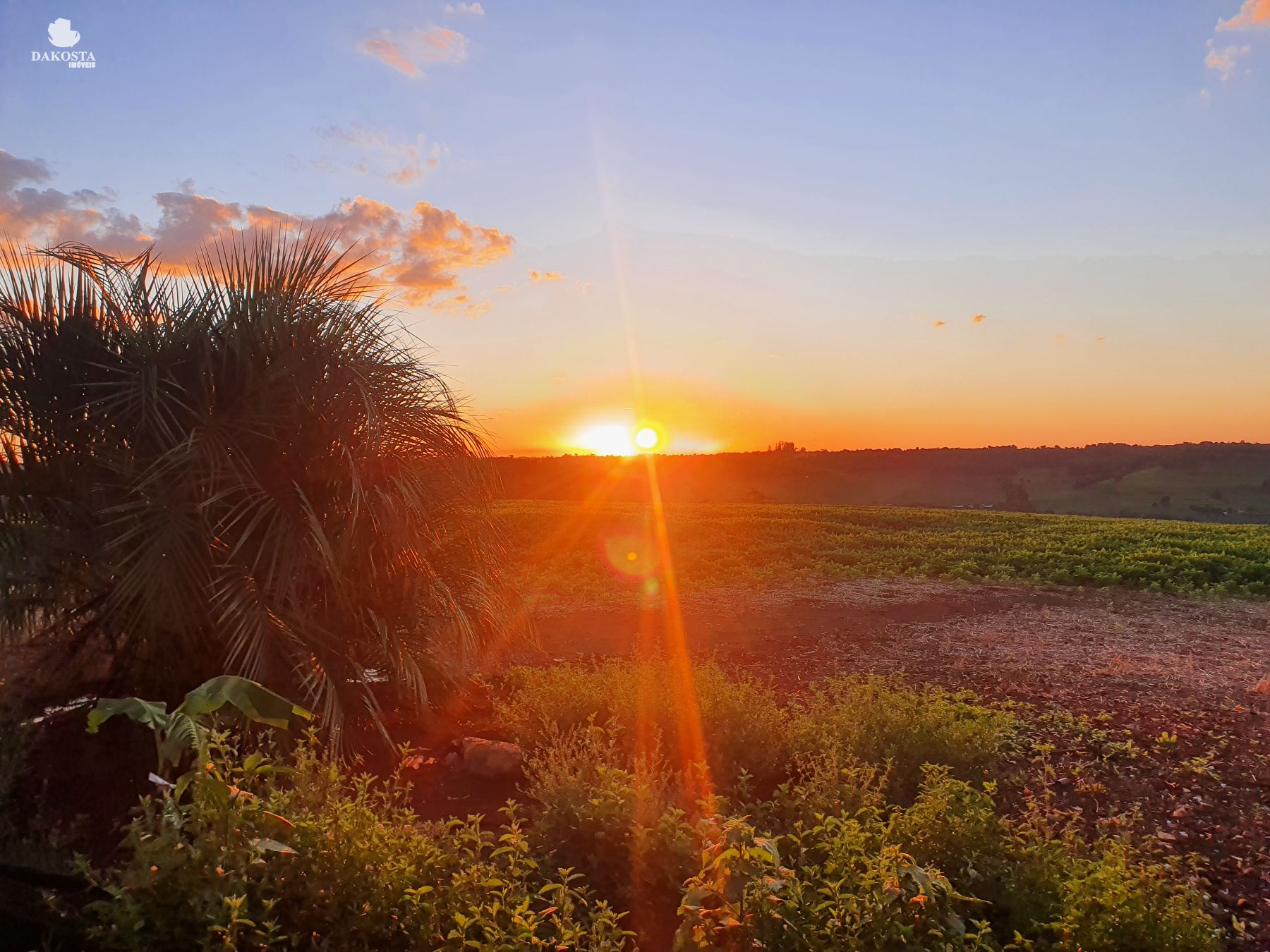 2.287 Metros Quadrados maravilhosa Chácara dentro da Cidade