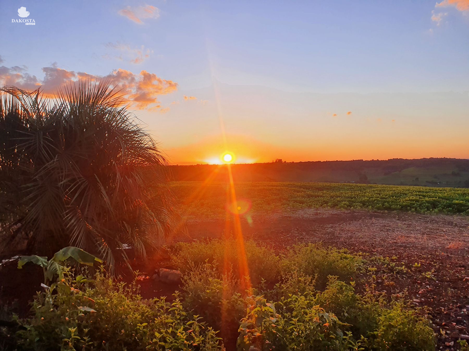 2.287 Metros Quadrados maravilhosa Chácara dentro da Cidade