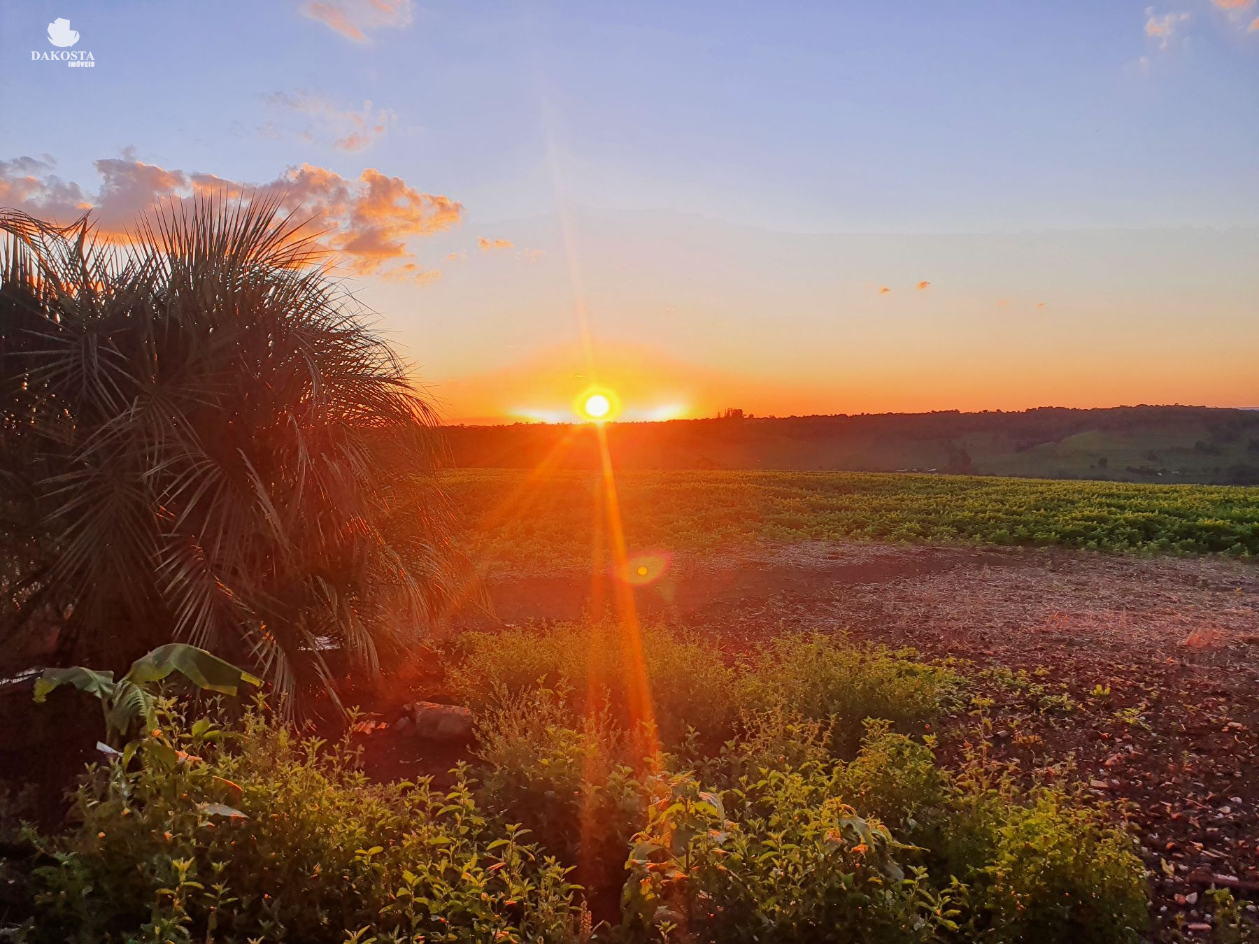 2.287 Metros Quadrados maravilhosa Chácara dentro da Cidade