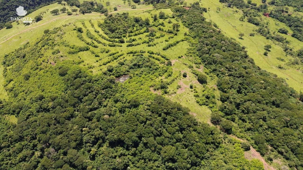 440 Alqueires Fazenda na PR, a 25 km de Cascavel PR: Excelente Potencial