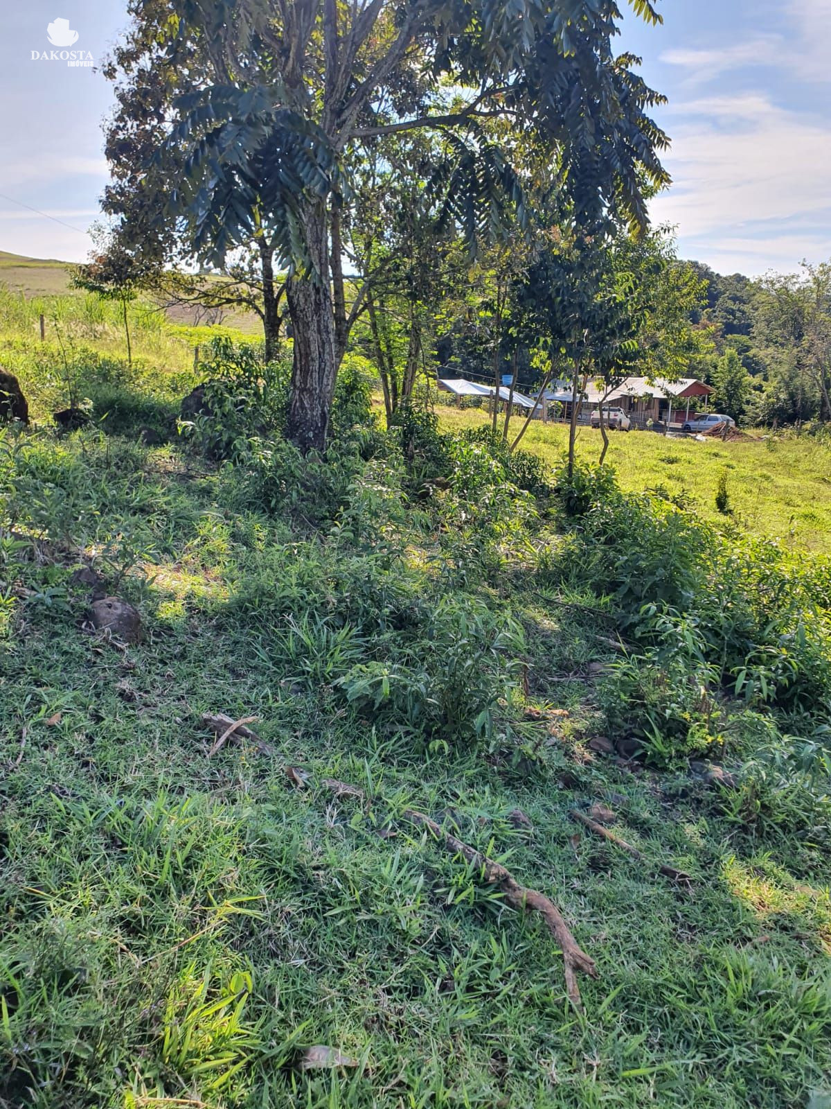6.050 Metros Quadrados otima chácara muito bem localizada 150m...
