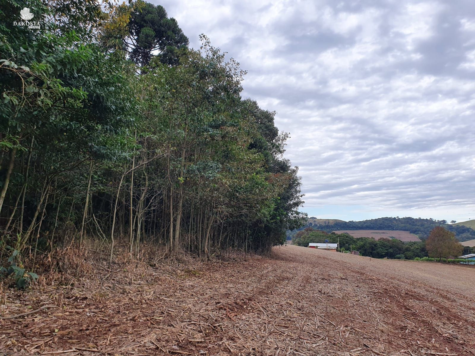 2.5 ALQUEIRES JA PLANTA 2 ABRE MAIS UM POUCO