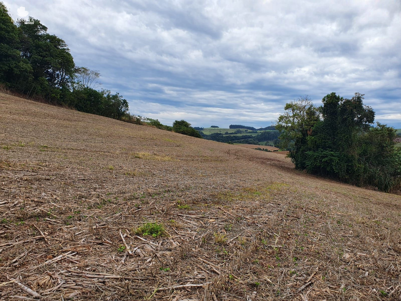 2.5 ALQUEIRES JA PLANTA 2 ABRE MAIS UM POUCO