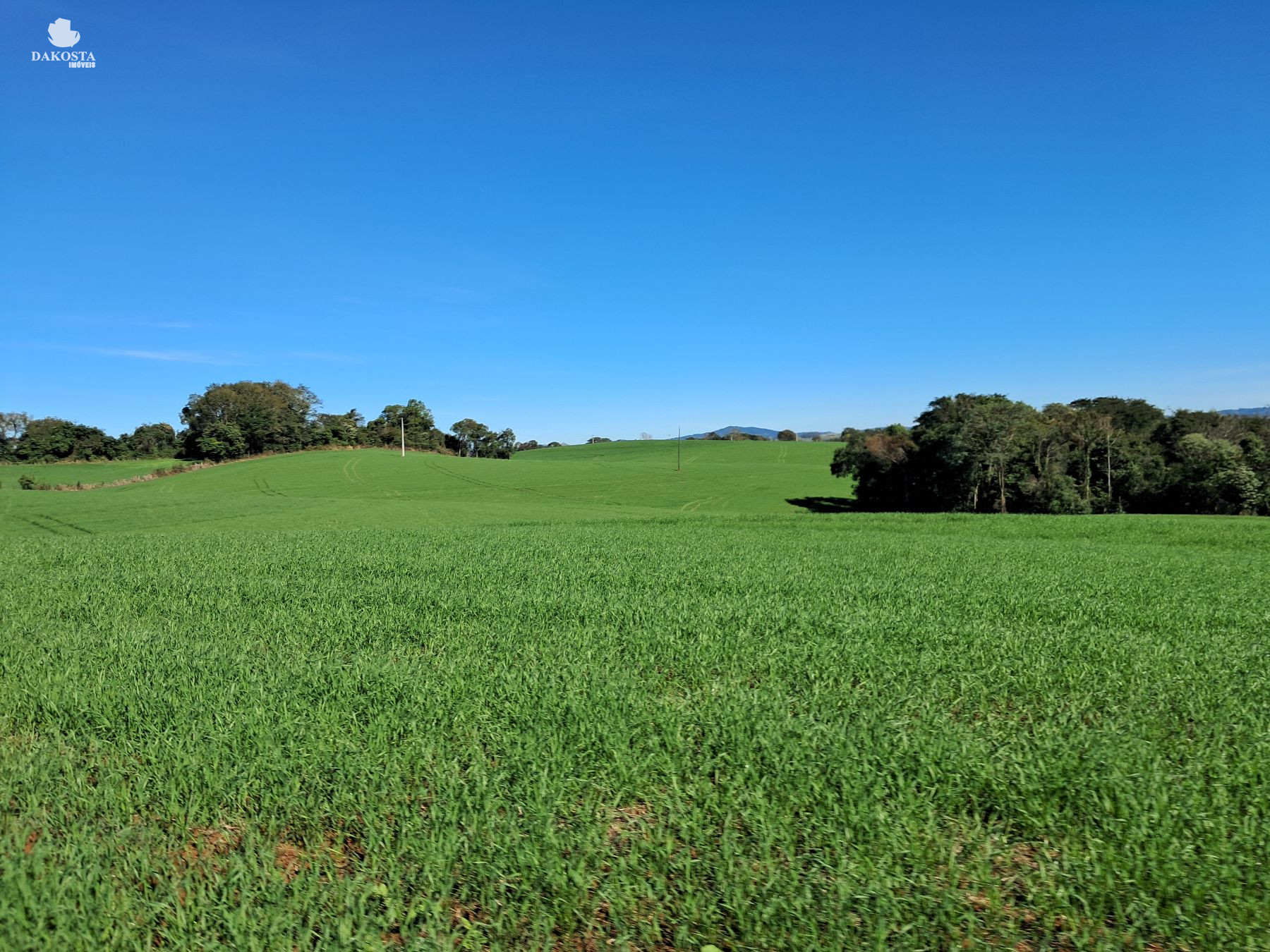 32 Alqueires com 25 de lavouras terreno plano bonito e super p...