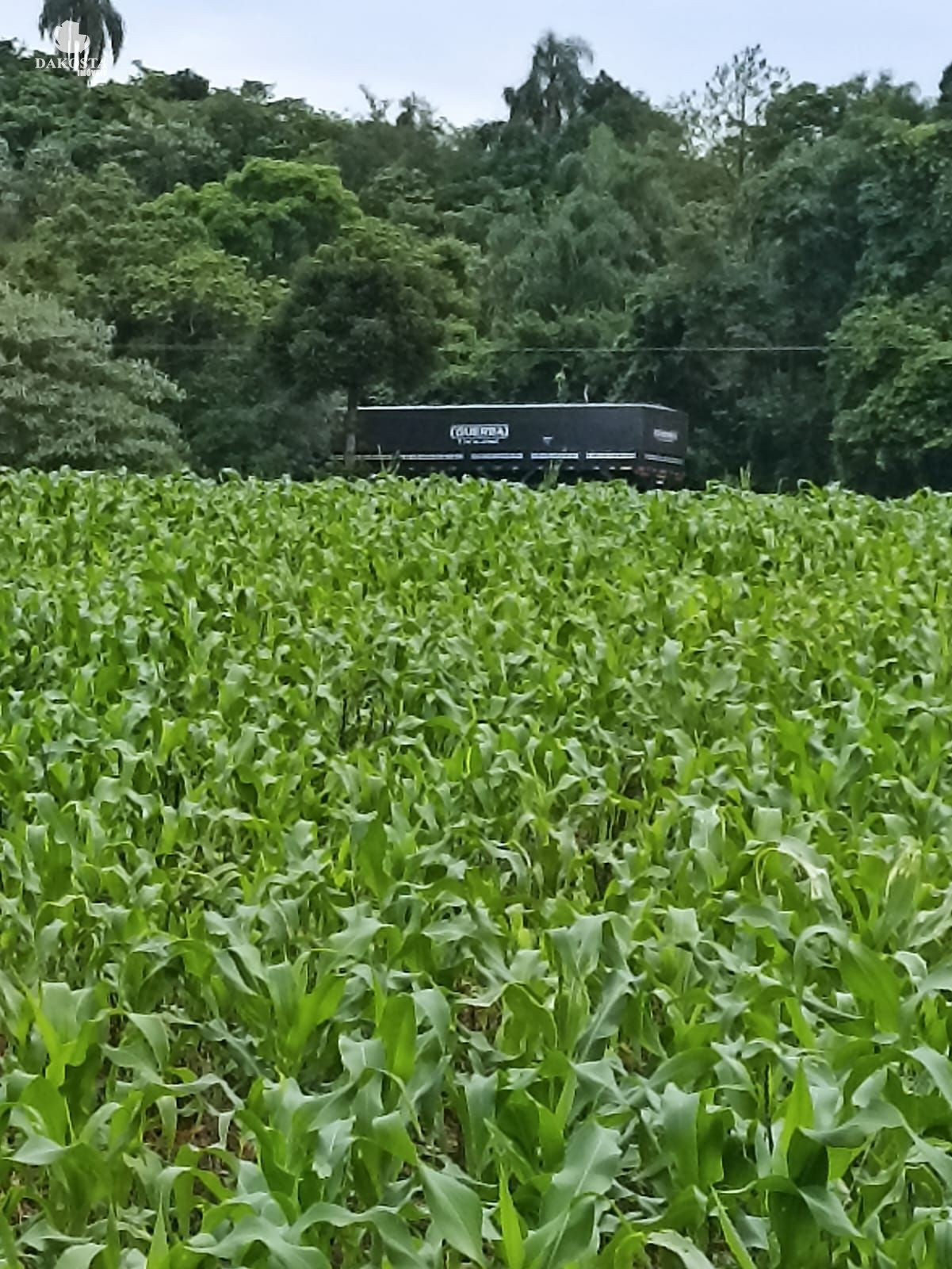 25 Alqueires na BR Plantando soja em 14 e mecaniza até 20 Alqu...