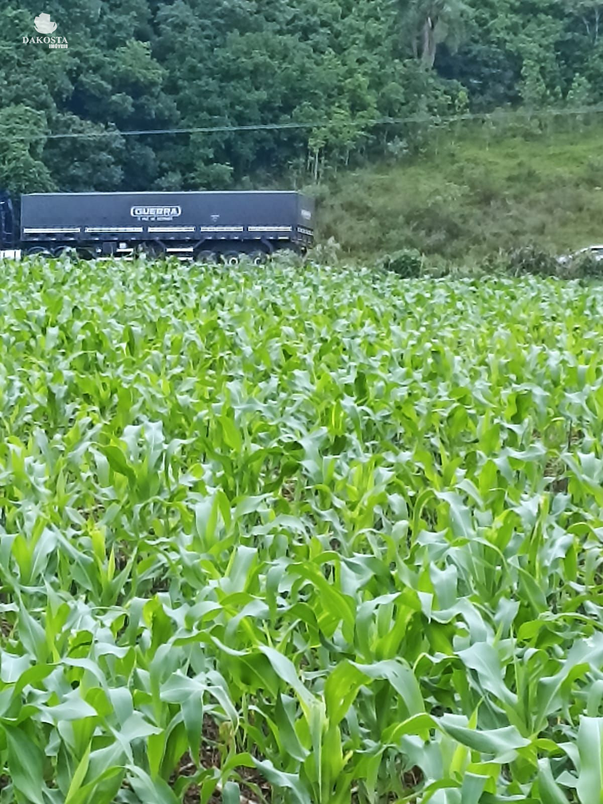 25 Alqueires na BR Plantando soja em 14 e mecaniza até 20 Alqu...