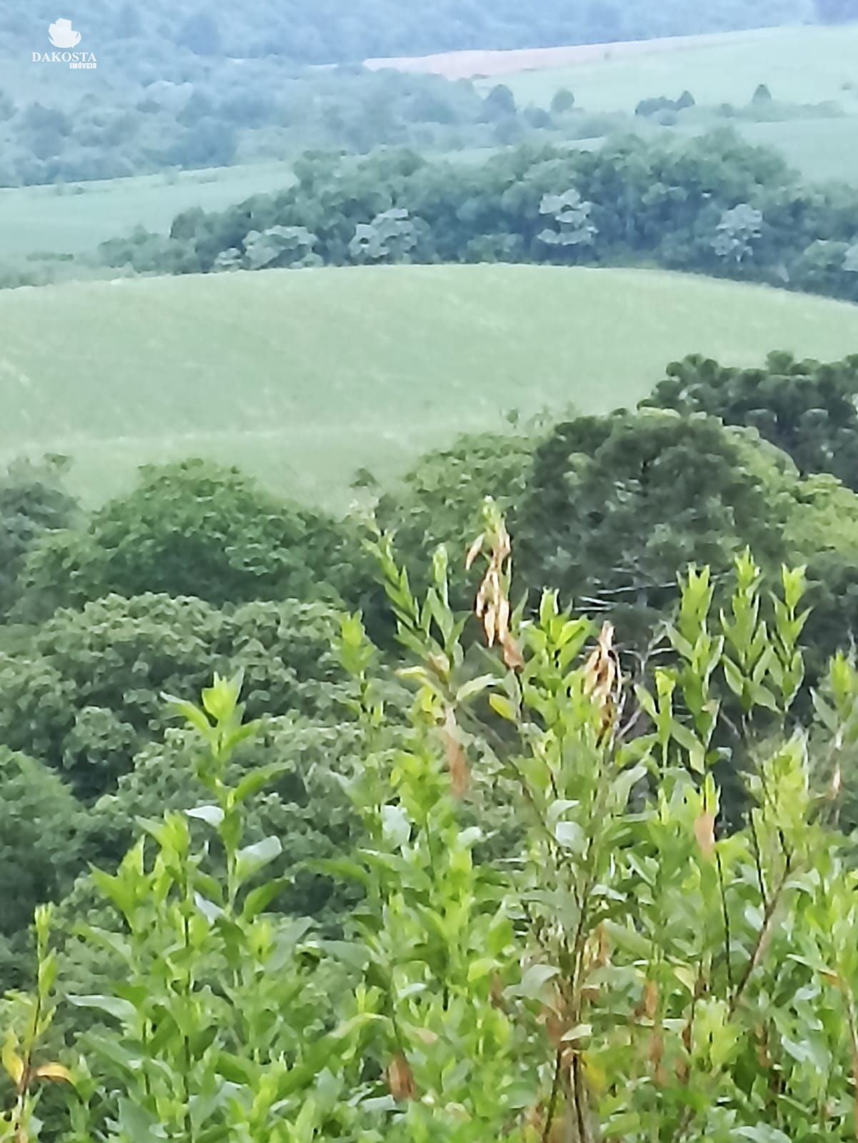 25 Alqueires na BR Plantando soja em 14 e mecaniza até 20 Alqueires