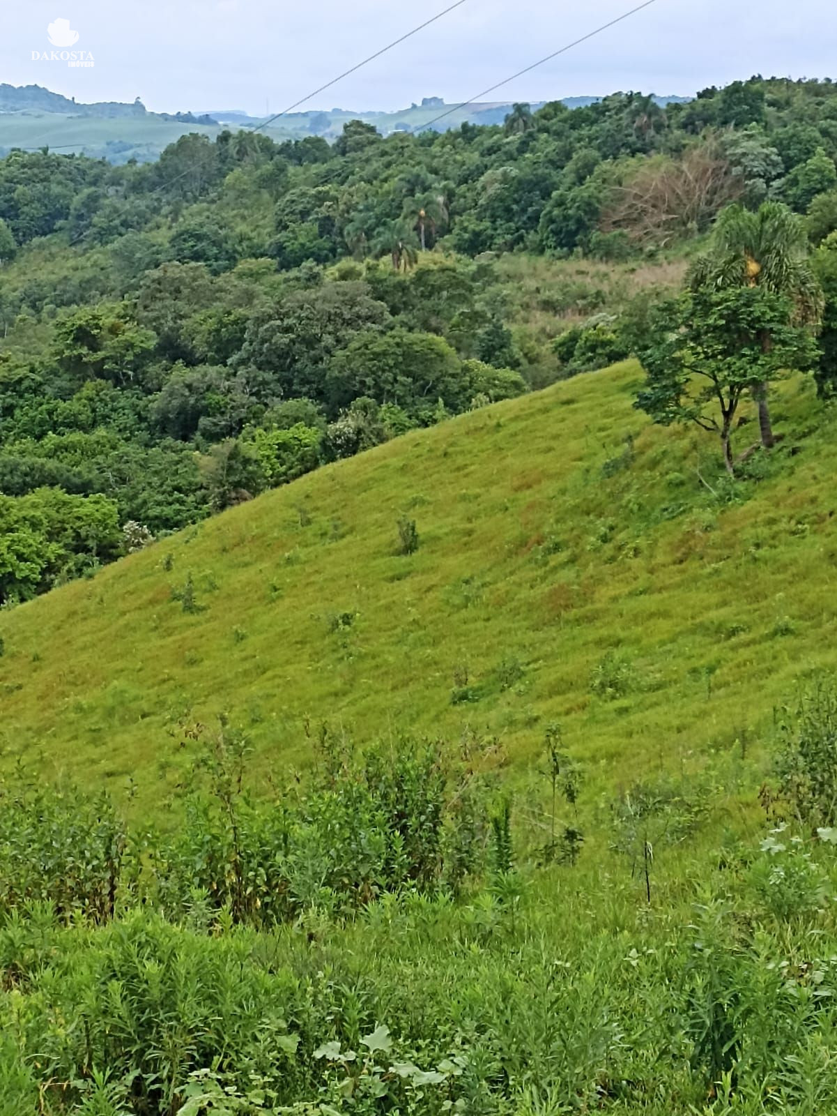 25 Alqueires na BR Plantando soja em 14 e mecaniza até 20 Alqueires