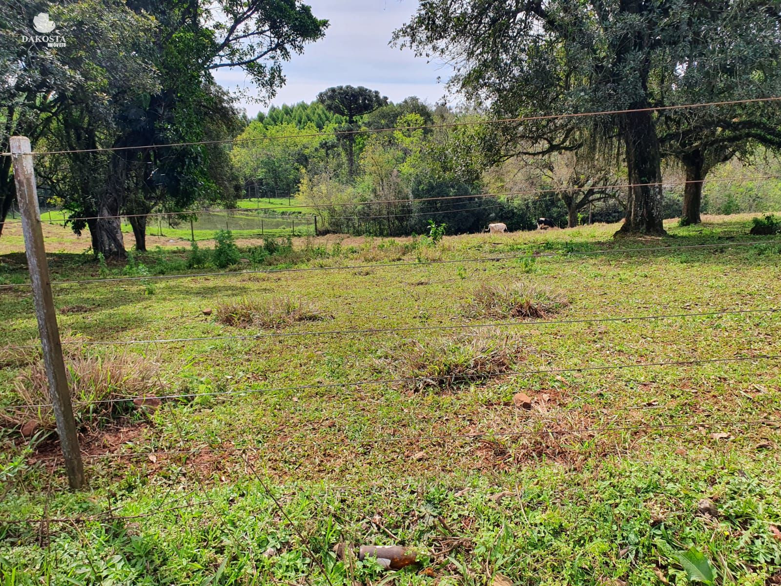 3000M² Linda Chácara plana, toda cercada, dentro da cidade asf...