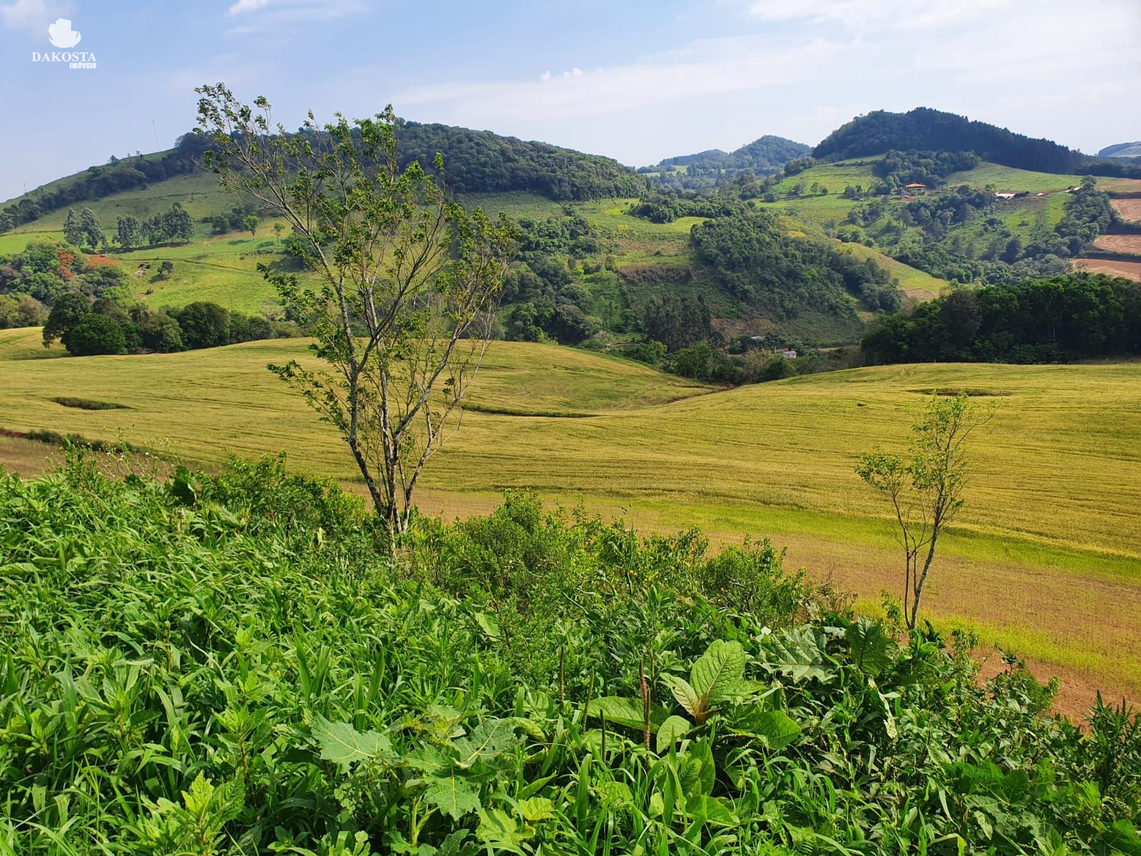 11.66 alqueires Excelente propriedade rural pra venda Porteira...