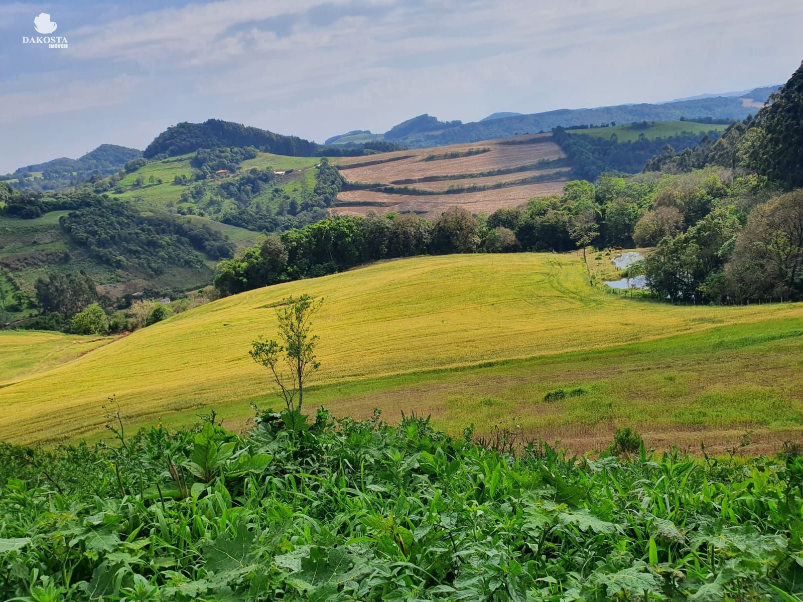 11.66 alqueires Excelente propriedade rural pra venda Porteira...