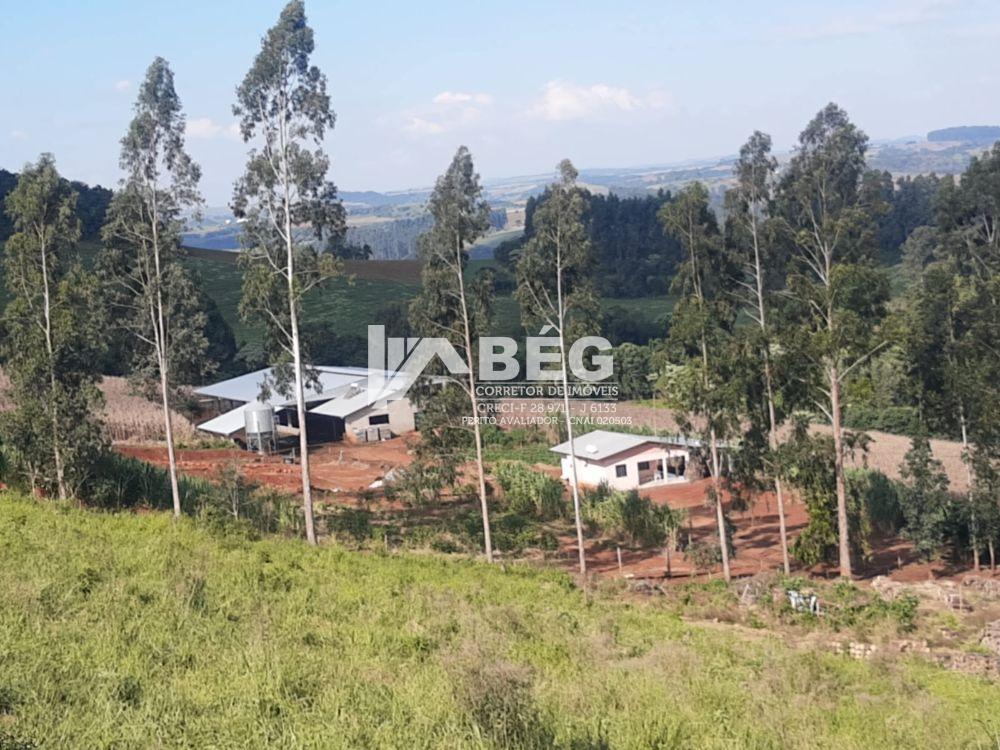 Vendo Linda Chacra de 8,44 Alqueires na Linha Pocinho em Marmeleiro - PR.