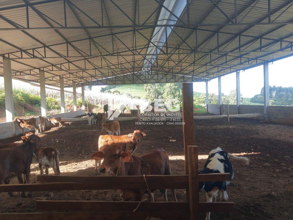 BÉG Corretor de Imóveis em Marmeleiro/PR
