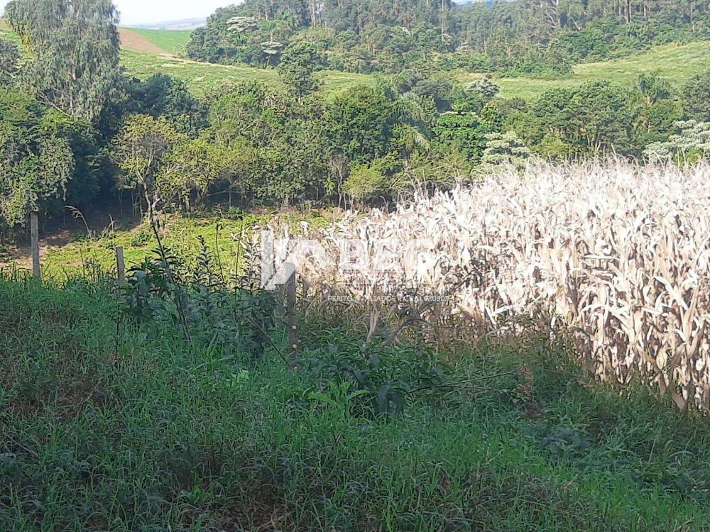 BÉG Corretor de Imóveis em Marmeleiro/PR