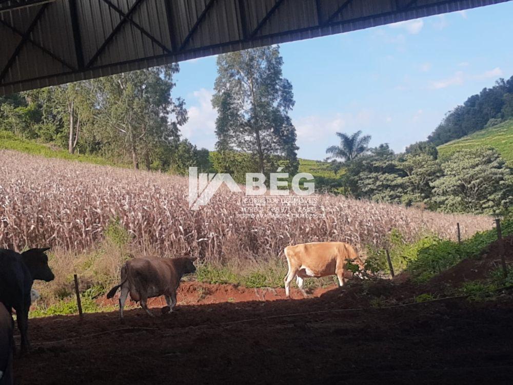 BÉG Corretor de Imóveis em Marmeleiro/PR