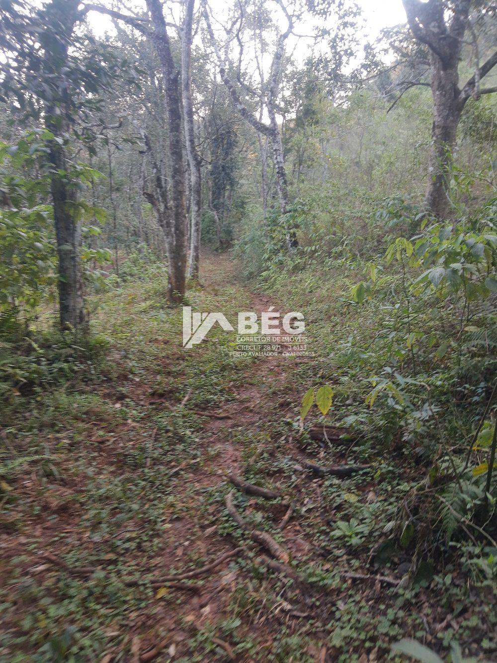 BÉG Corretor de Imóveis em Marmeleiro/PR
