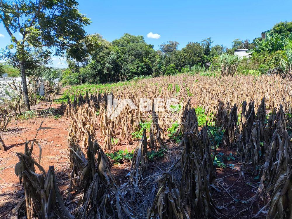 BÉG Corretor de Imóveis em Marmeleiro/PR