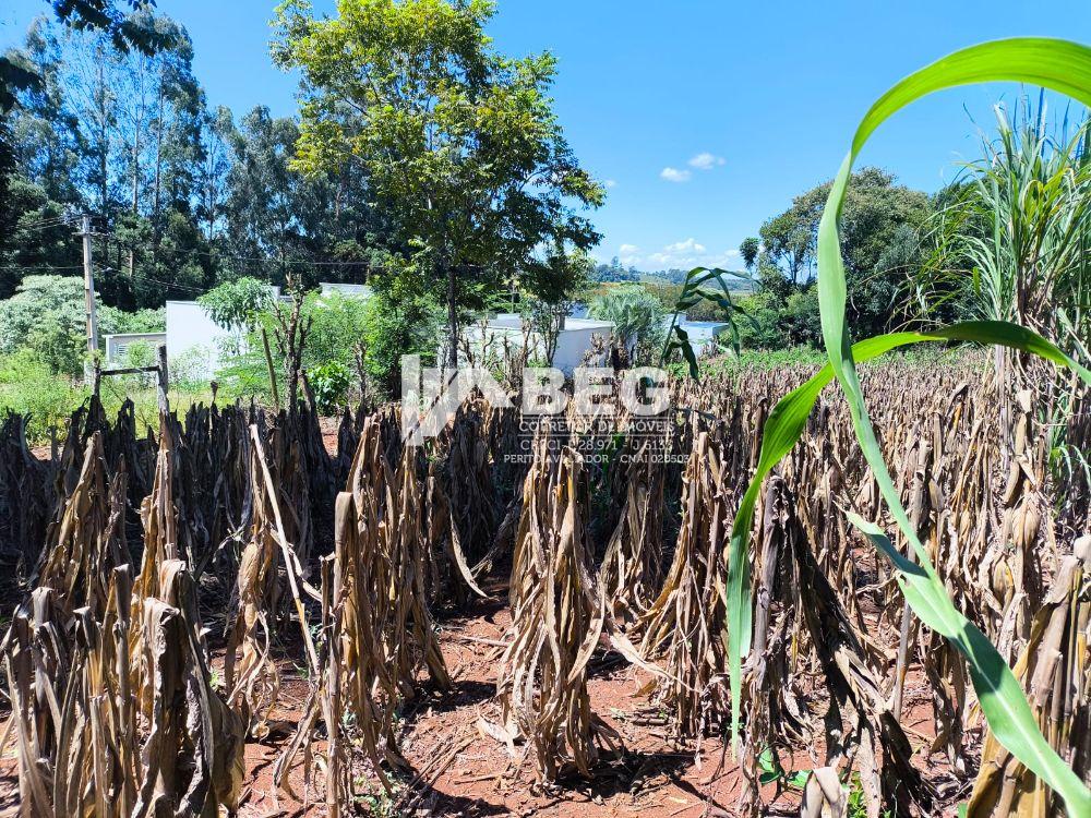 BÉG Corretor de Imóveis em Marmeleiro/PR
