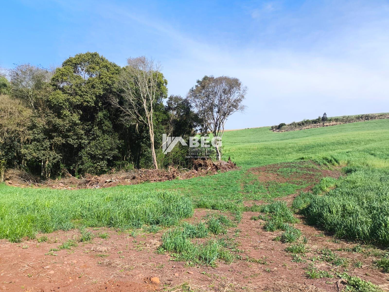 BÉG Corretor de Imóveis em Marmeleiro/PR