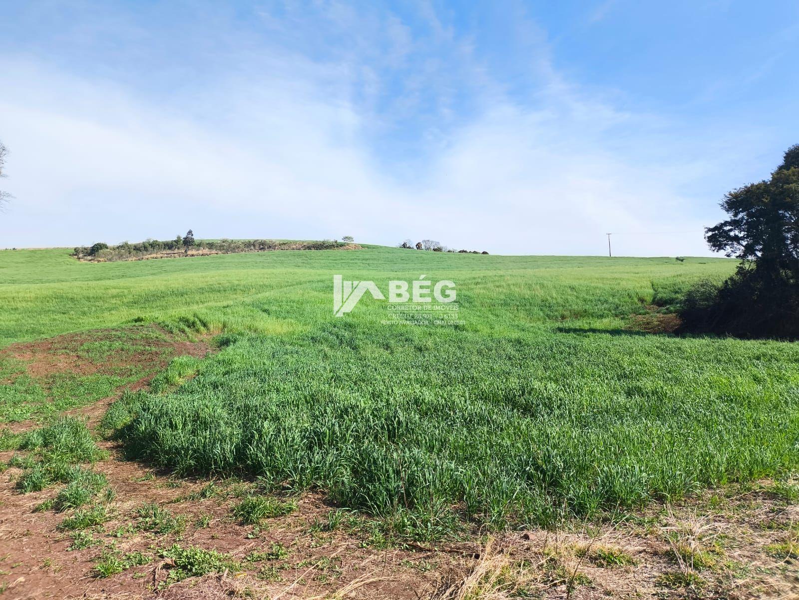 BÉG Corretor de Imóveis em Marmeleiro/PR