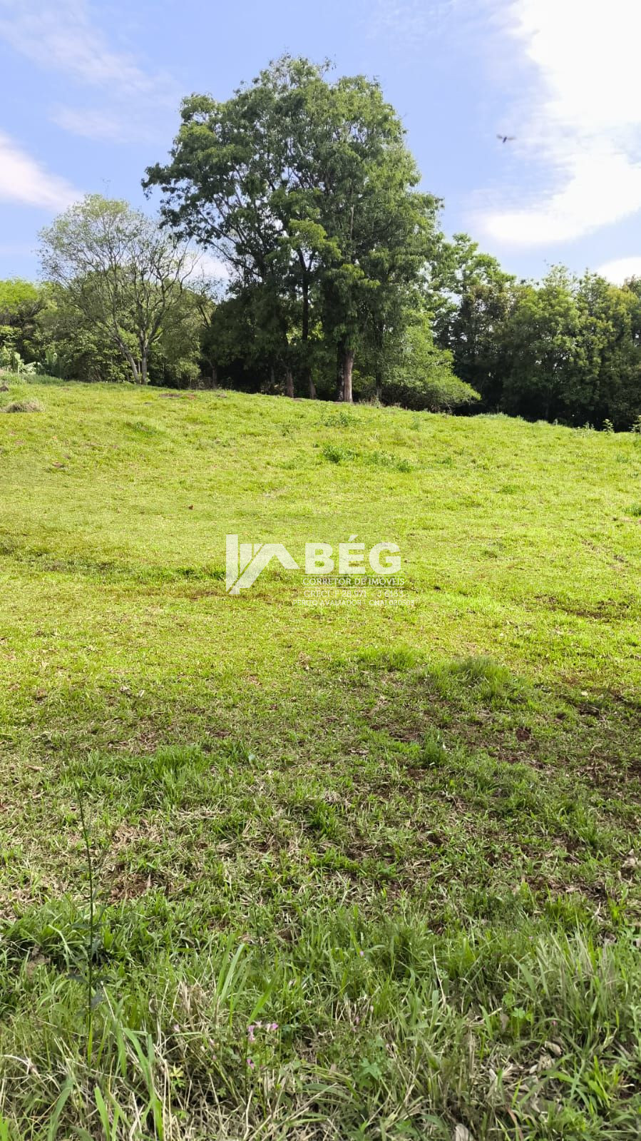 BÉG Corretor de Imóveis em Marmeleiro/PR