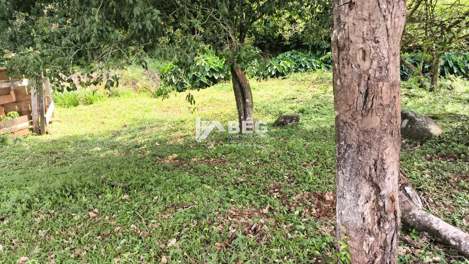 BÉG Corretor de Imóveis em Marmeleiro/PR