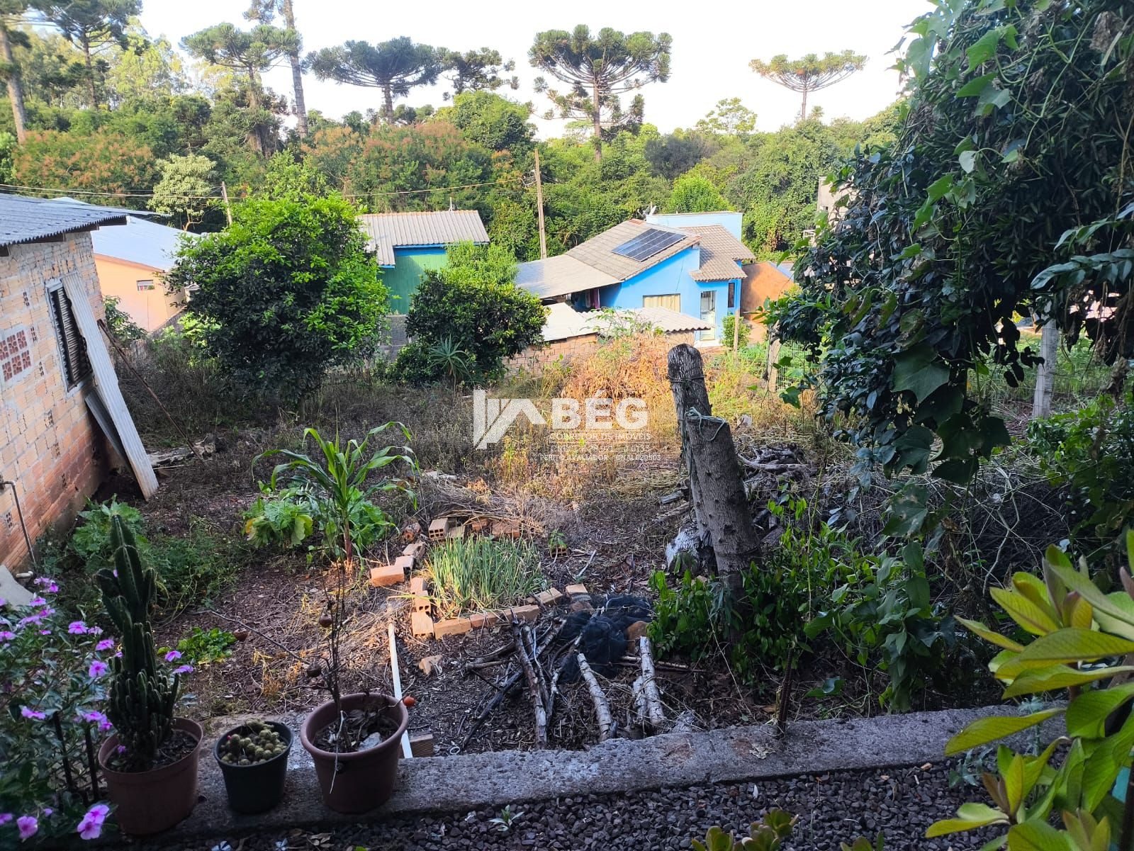 BÉG Corretor de Imóveis em Marmeleiro/PR