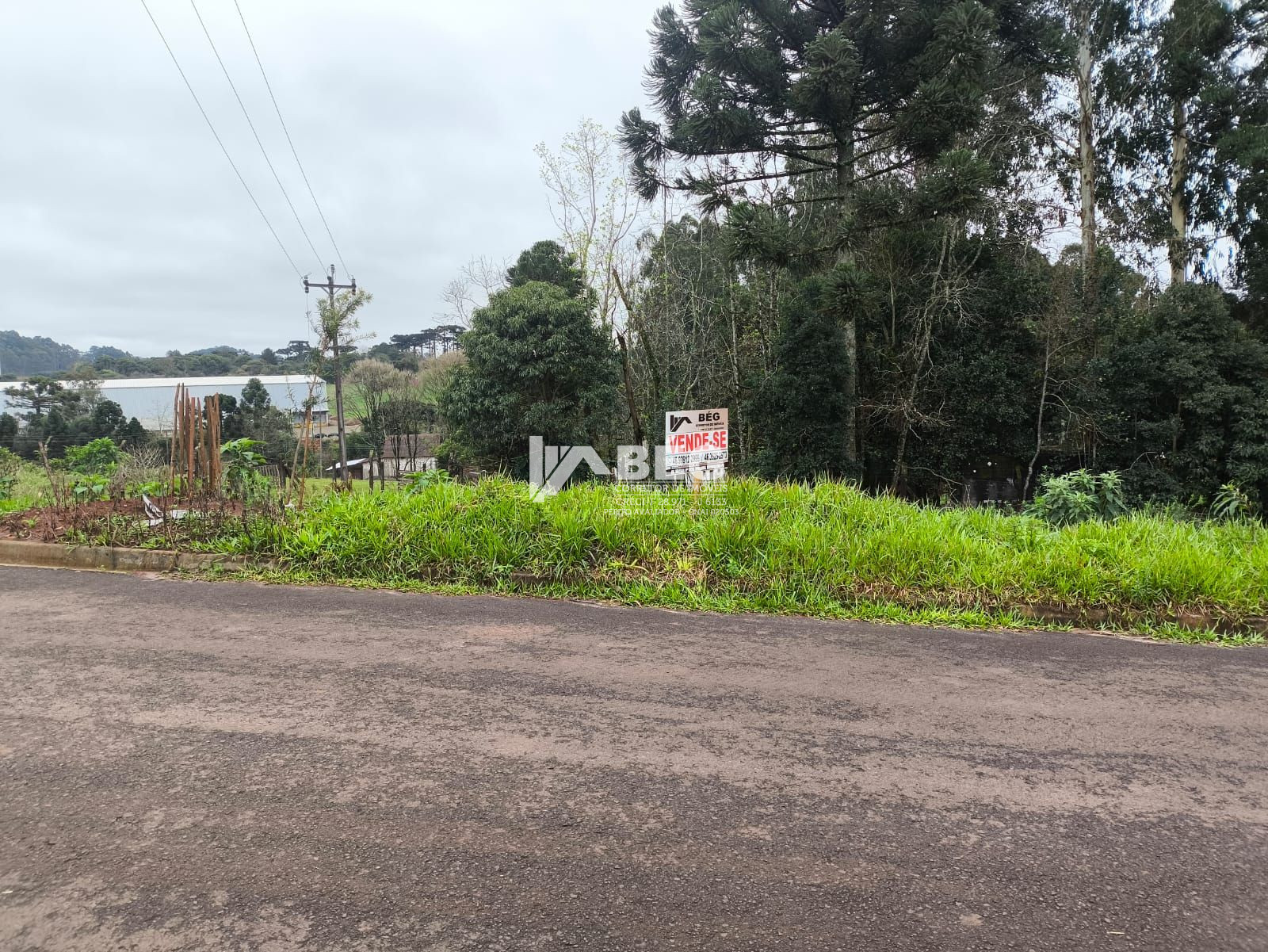 Lote para Venda