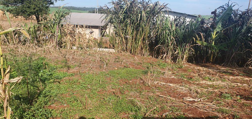 J Catto Imveis em Santa Izabel do Oeste PR